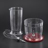 RUSSELL HOBBS 24700-56 botmixer 3in1