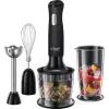 RUSSELL HOBBS 24702-56 botmixer 3in1