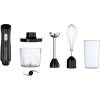 RUSSELL HOBBS 27141-56 botmixer 3in1