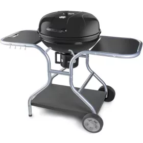 FIELDMANN FZG 1014 faszenes grillsütő  