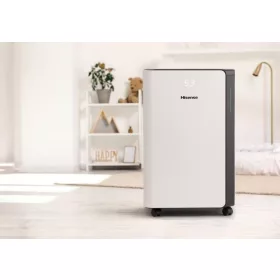 HISENSE D20CW páramentesítő