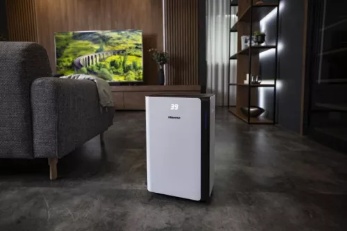 HISENSE D20CW páramentesítő