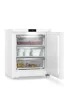 Liebherr Fe 1003 001 20 Asztali fagyasztószekrény SmartFrost-tal