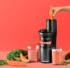 Nutribullet NBJ500 lassú prés, 150 W, 700 ml