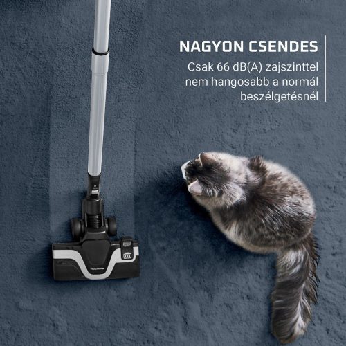 ROWENTA RO7C89EA porszívó porzsák nélküli